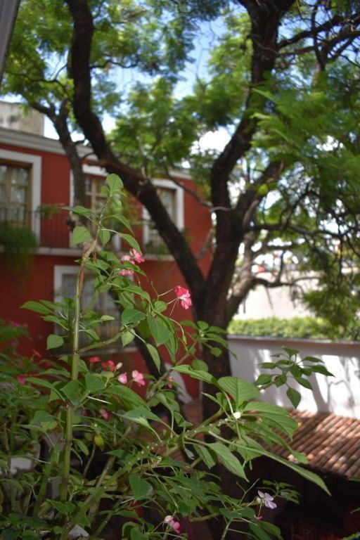 Hotel Ana Catalina And Suites San Miguel de Allende Exterior photo